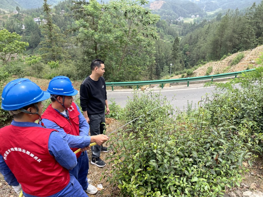 2圖為：協(xié)助茶農(nóng)澆灌茶樹